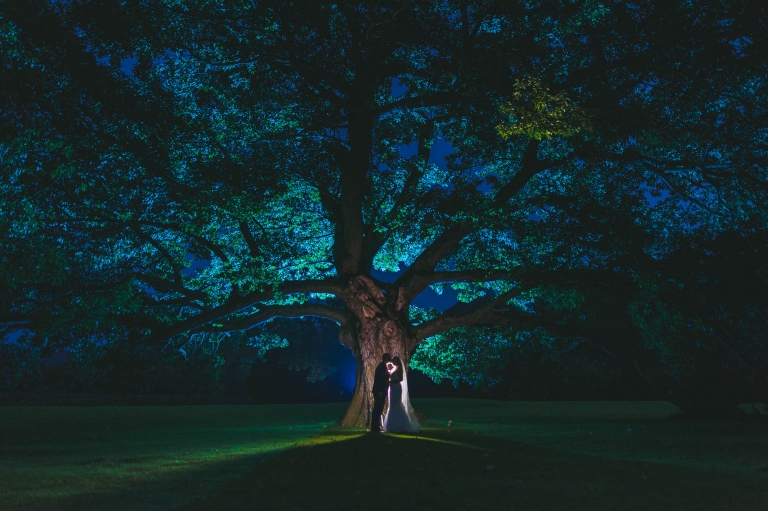 Bride and groom silhouette against a tree